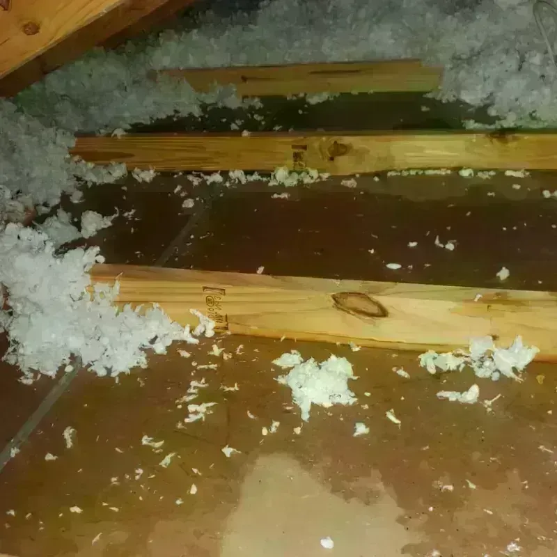 Attic Water Damage in Fayette, IA